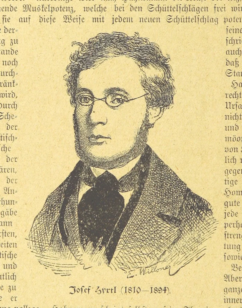 An illustration from Hundert Jahre in Wort und Bild. Eine Kulturgeschichte des XIX. Jahrhunderts herausgegeben von Dr. S. Stefan. Mit 800 Text-Illustrationen, etc, 1899, leaf 636