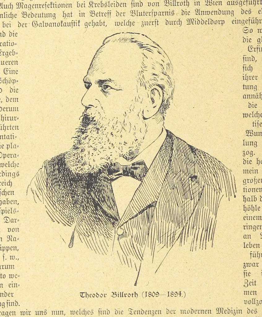 An illustration from Hundert Jahre in Wort und Bild. Eine Kulturgeschichte des XIX. Jahrhunderts herausgegeben von Dr. S. Stefan. Mit 800 Text-Illustrationen, etc, 1899, leaf 658