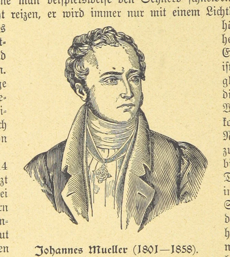 An illustration from Hundert Jahre in Wort und Bild. Eine Kulturgeschichte des XIX. Jahrhunderts herausgegeben von Dr. S. Stefan. Mit 800 Text-Illustrationen, etc, 1899, leaf 722