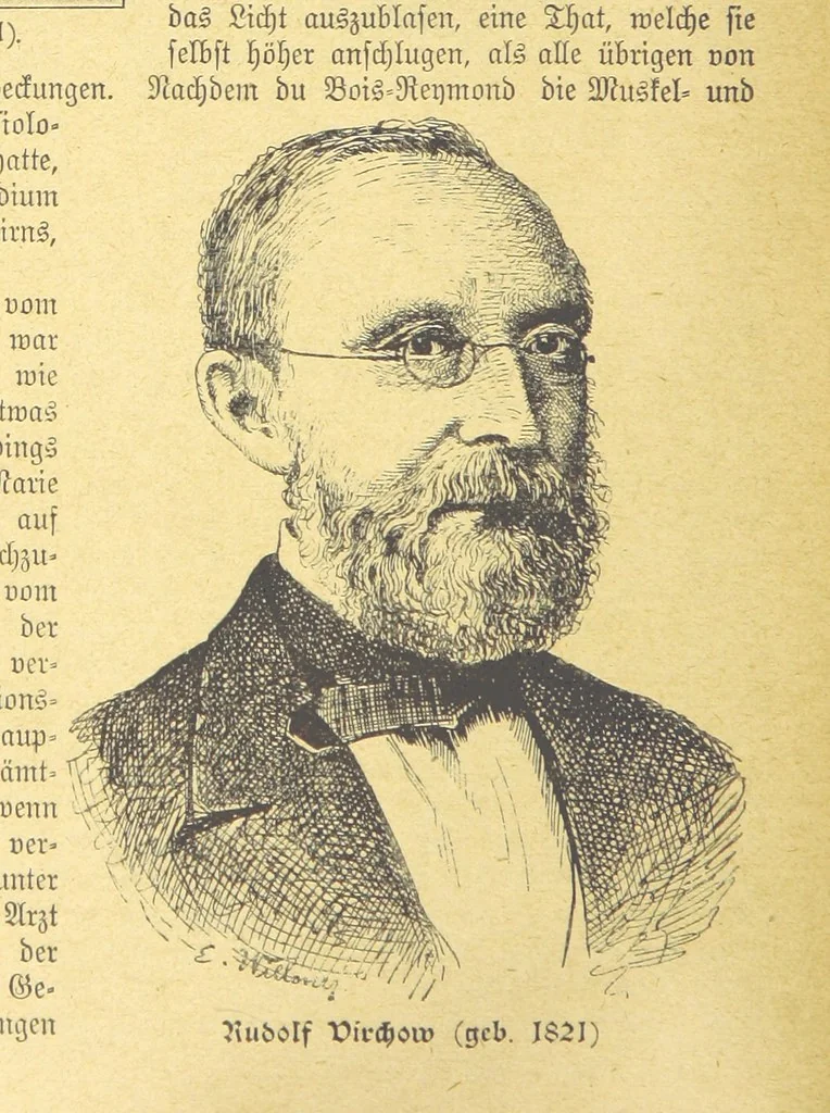 An illustration from Hundert Jahre in Wort und Bild. Eine Kulturgeschichte des XIX. Jahrhunderts herausgegeben von Dr. S. Stefan. Mit 800 Text-Illustrationen, etc, 1899, leaf 724