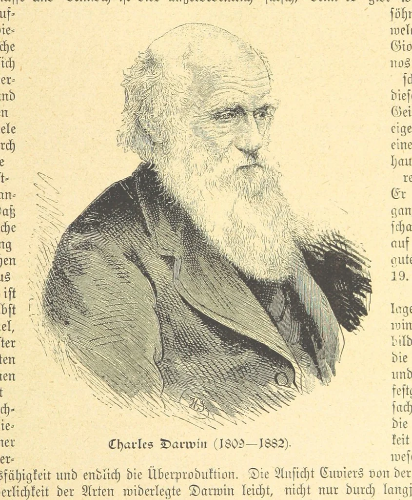 An illustration from Hundert Jahre in Wort und Bild. Eine Kulturgeschichte des XIX. Jahrhunderts herausgegeben von Dr. S. Stefan. Mit 800 Text-Illustrationen, etc, 1899, leaf 731