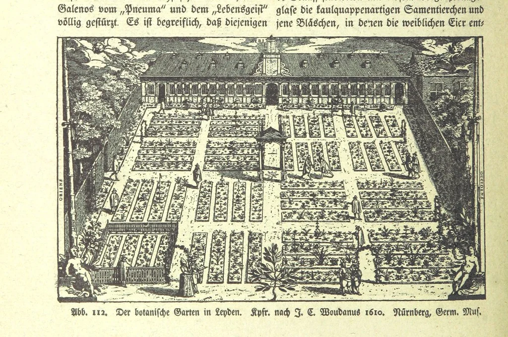 An illustration from Monographien zur deutschen Kulturgeschichte, herausgegeben von G. Steinhausen, 1899, leaf 110