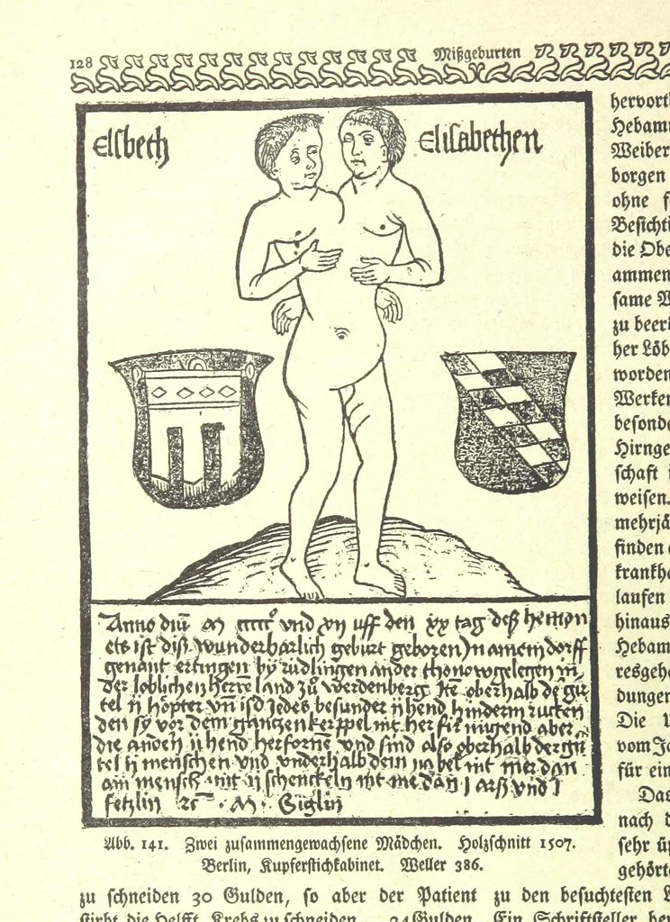 An illustration from Monographien zur deutschen Kulturgeschichte, herausgegeben von G. Steinhausen, 1899, leaf 138