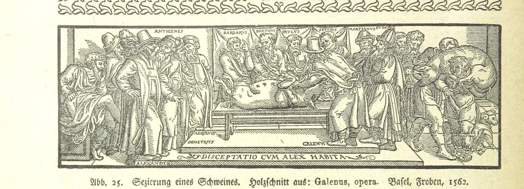 An illustration from Monographien zur deutschen Kulturgeschichte, herausgegeben von G. Steinhausen, 1899, leaf 28