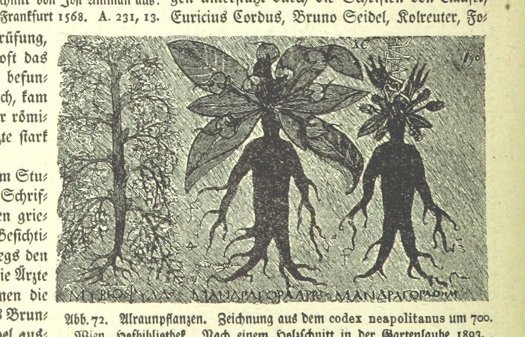 An illustration from Monographien zur deutschen Kulturgeschichte, herausgegeben von G. Steinhausen, 1899, leaf 74