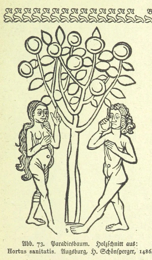 An illustration from Monographien zur deutschen Kulturgeschichte, herausgegeben von G. Steinhausen, 1899, leaf 75