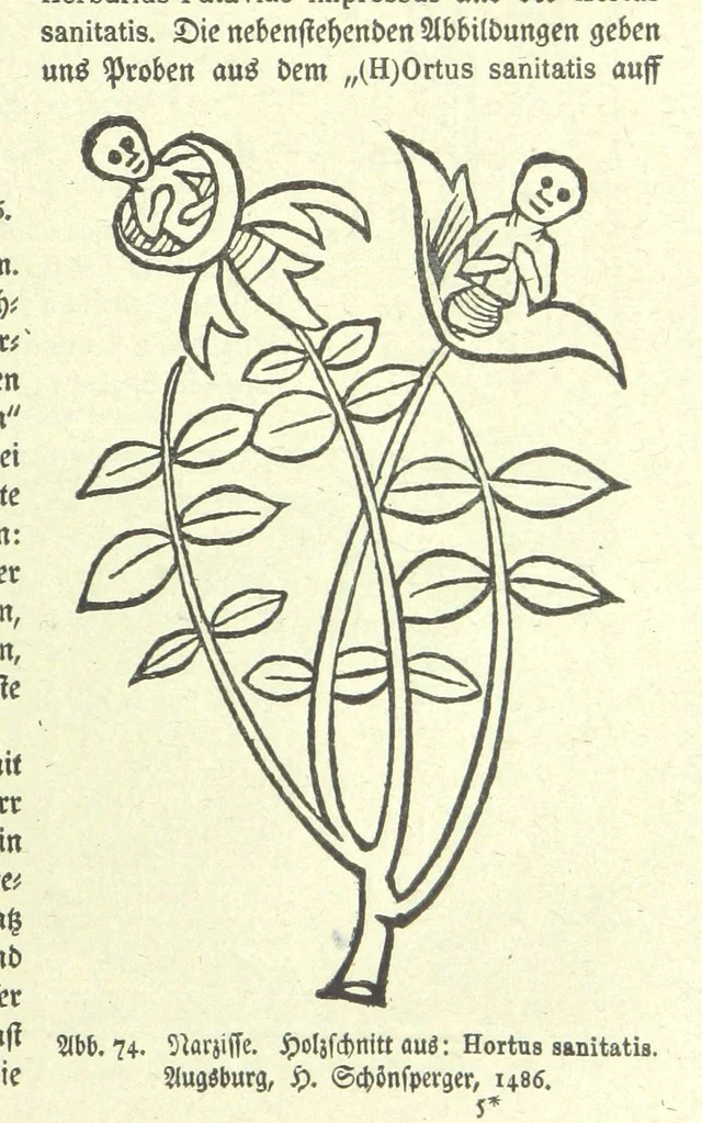 An illustration from Monographien zur deutschen Kulturgeschichte, herausgegeben von G. Steinhausen, 1899, leaf 75