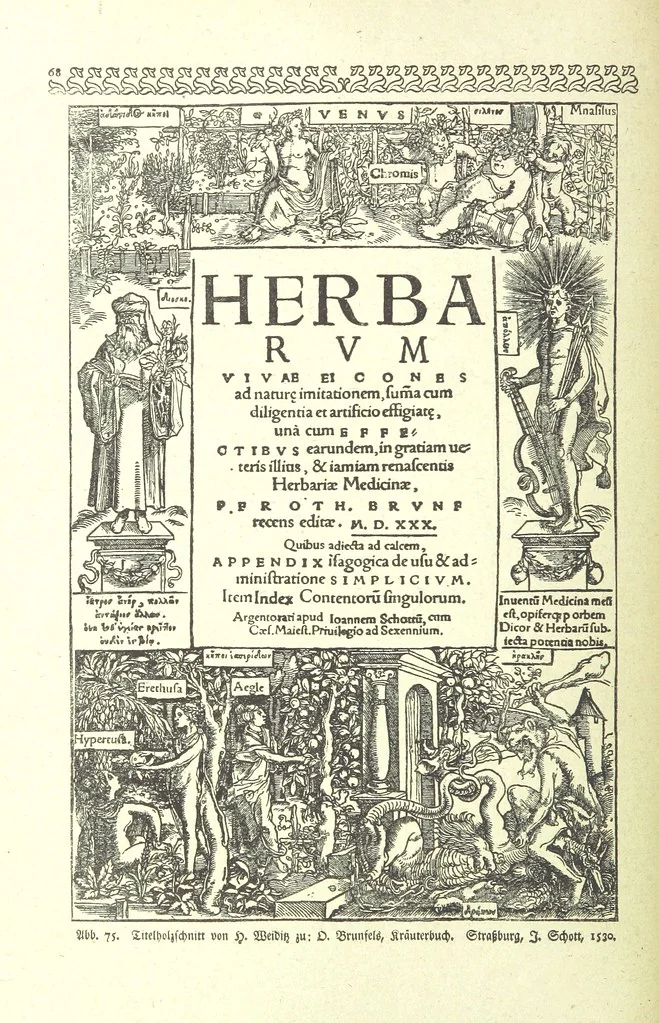 An illustration from Monographien zur deutschen Kulturgeschichte, herausgegeben von G. Steinhausen, 1899, leaf 76