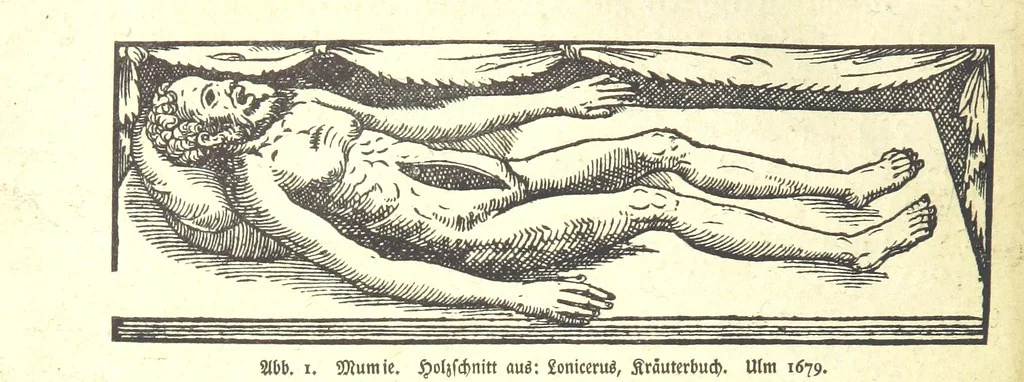 An illustration from Monographien zur deutschen Kulturgeschichte, herausgegeben von G. Steinhausen, 1899, leaf 8