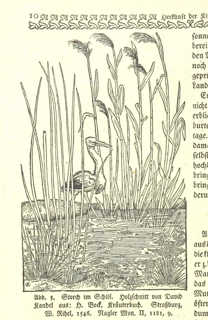 An illustration from Monographien zur deutschen Kulturgeschichte, herausgegeben von G. Steinhausen, 1899, leaf 12