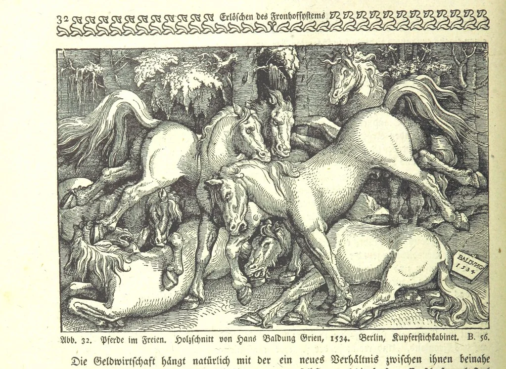 An illustration from Monographien zur deutschen Kulturgeschichte, herausgegeben von G. Steinhausen, 1899, leaf 34