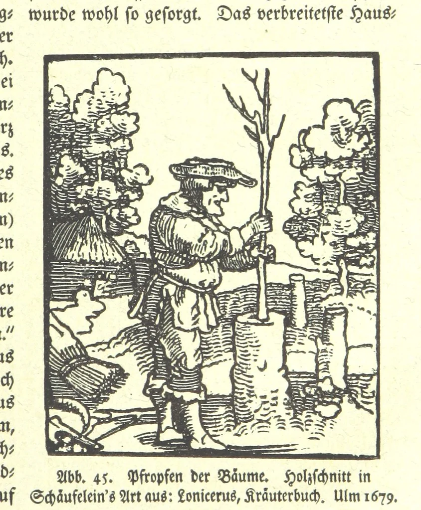 An illustration from Monographien zur deutschen Kulturgeschichte, herausgegeben von G. Steinhausen, 1899, leaf 47