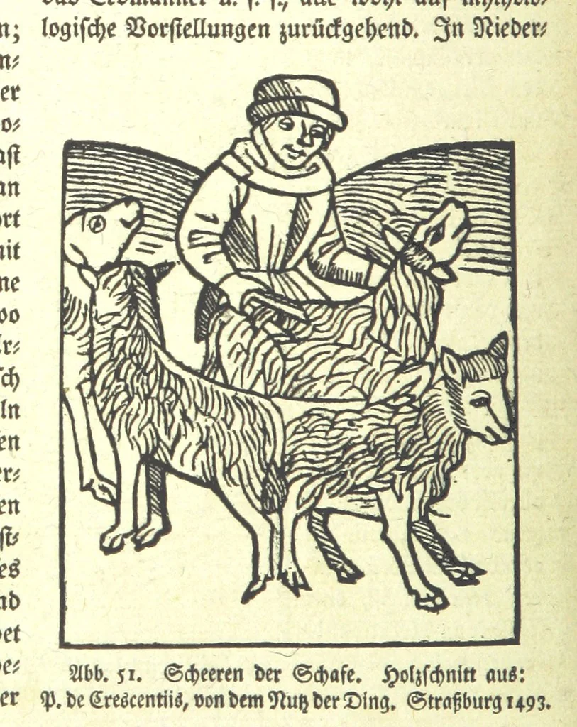 An illustration from Monographien zur deutschen Kulturgeschichte, herausgegeben von G. Steinhausen, 1899, leaf 52