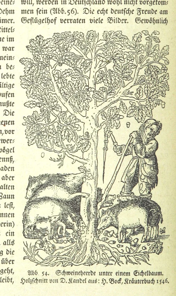 An illustration from Monographien zur deutschen Kulturgeschichte, herausgegeben von G. Steinhausen, 1899, leaf 54