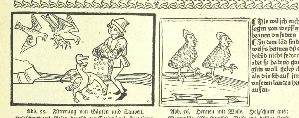 An illustration from Monographien zur deutschen Kulturgeschichte, herausgegeben von G. Steinhausen, 1899, leaf 55