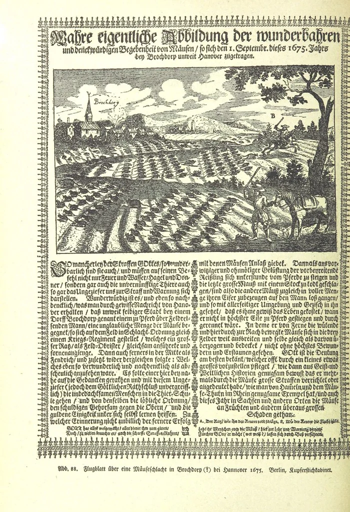 An illustration from Monographien zur deutschen Kulturgeschichte, herausgegeben von G. Steinhausen, 1899, leaf 86