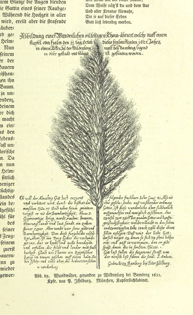 An illustration from Monographien zur deutschen Kulturgeschichte, herausgegeben von G. Steinhausen, 1899, leaf 87