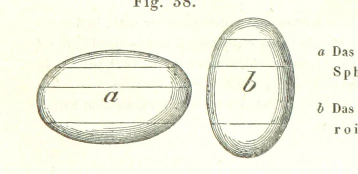 An illustration from Grundzüge der mathematischen Geographie und der Landkartenprojection ... Ein Handbuch für Jeden, der ohne Vorkenntniss der höheren Mathematik sich über den Gegenstand unterrichten will, etc, 1857, leaf 21