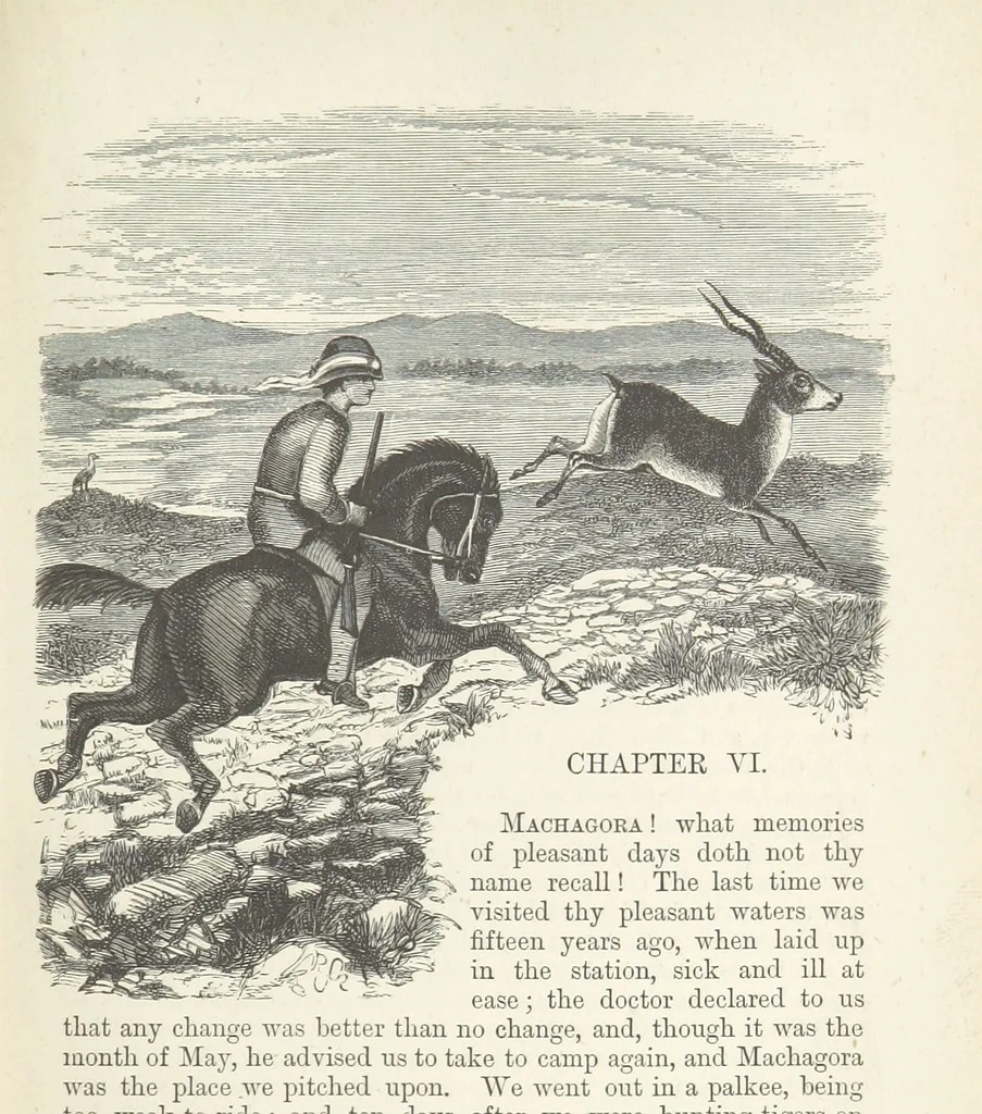 An illustration from Seonee, or, camp life on the Satpura Range ... Illustrated by the author, etc, 1887, leaf 153
