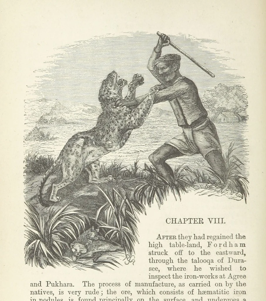 An illustration from Seonee, or, camp life on the Satpura Range ... Illustrated by the author, etc, 1887, leaf 214