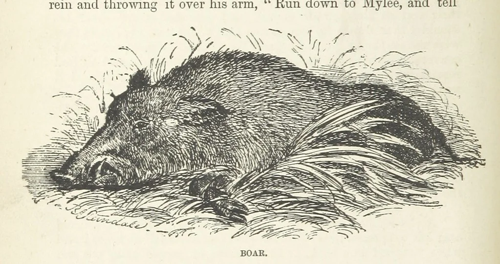 An illustration from Seonee, or, camp life on the Satpura Range ... Illustrated by the author, etc, 1887, leaf 230