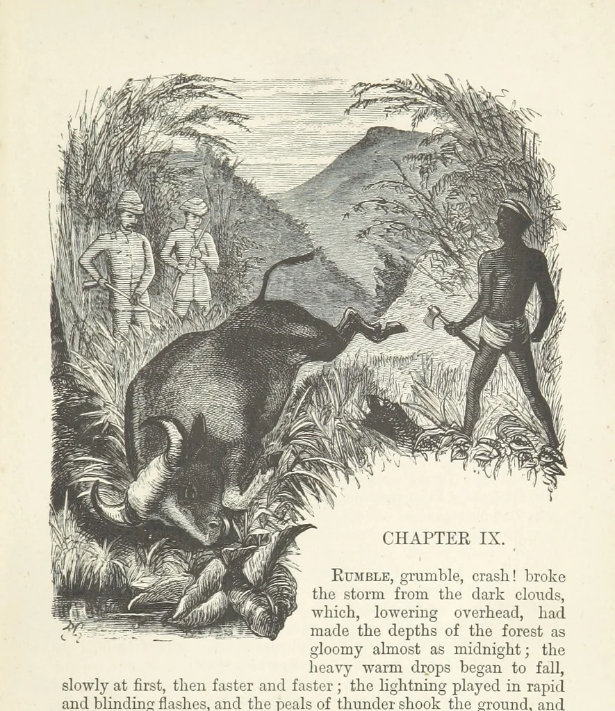 An illustration from Seonee, or, camp life on the Satpura Range ... Illustrated by the author, etc, 1887, leaf 233