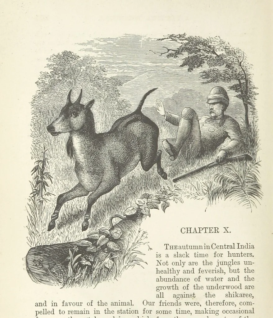 An illustration from Seonee, or, camp life on the Satpura Range ... Illustrated by the author, etc, 1887, leaf 252
