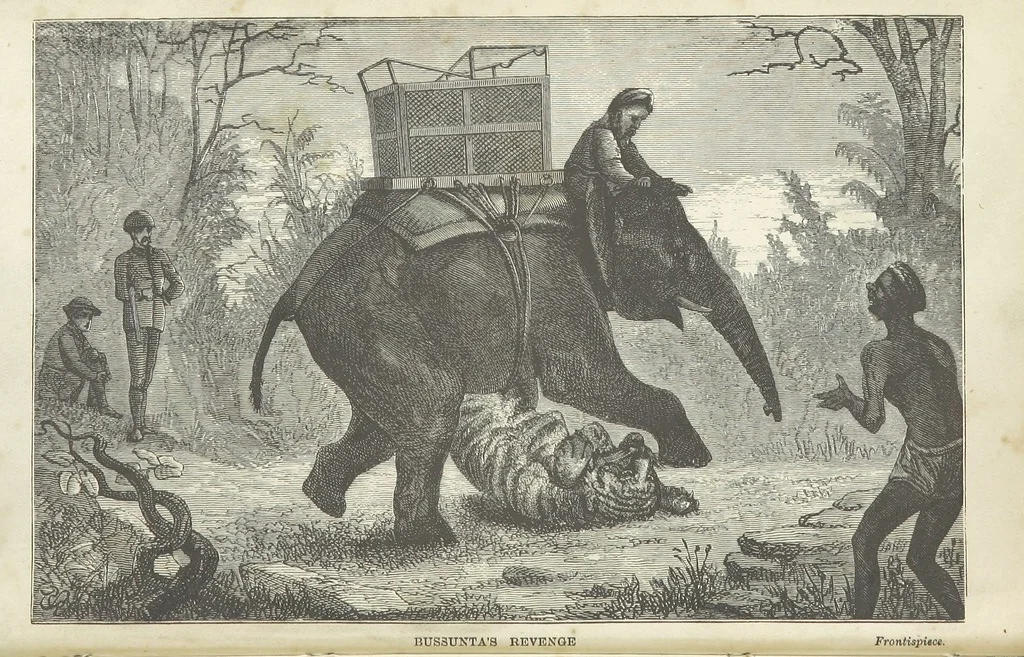 An illustration from Seonee, or, camp life on the Satpura Range ... Illustrated by the author, etc, 1887, leaf 6