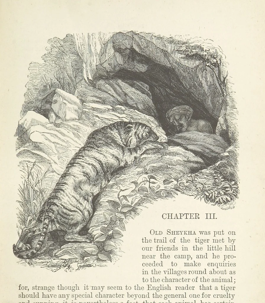 An illustration from Seonee, or, camp life on the Satpura Range ... Illustrated by the author, etc, 1887, leaf 73