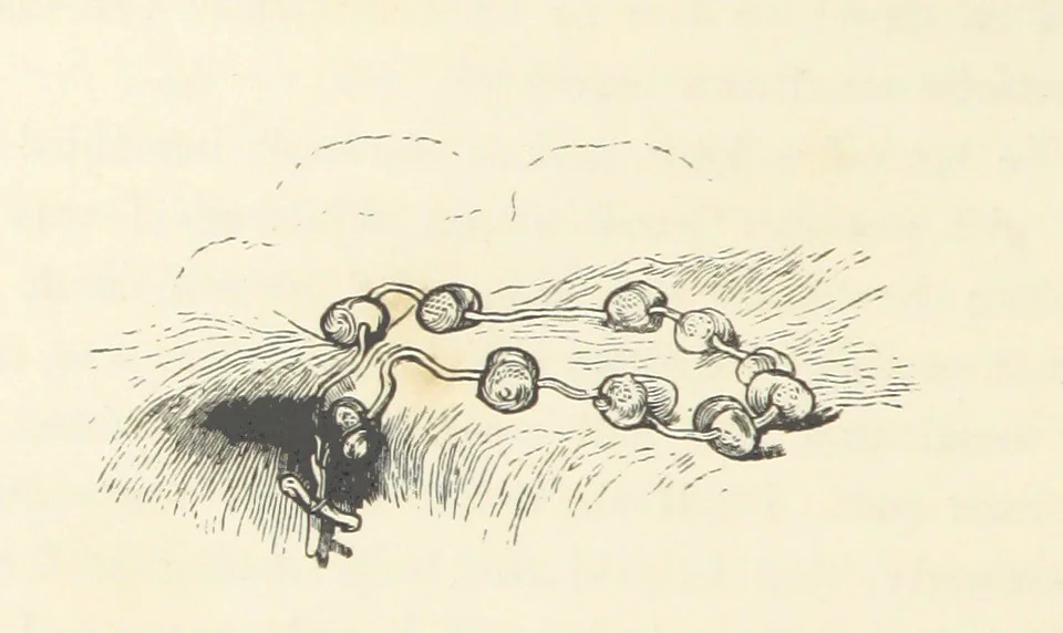 An illustration from A sentimental journey through France and Italy, 1857, leaf 168