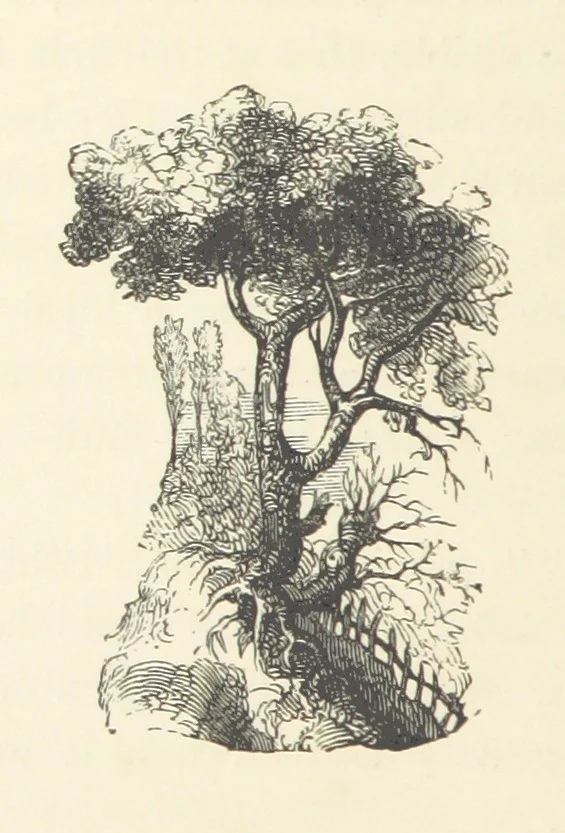 An illustration from A sentimental journey through France and Italy, 1857, leaf 216