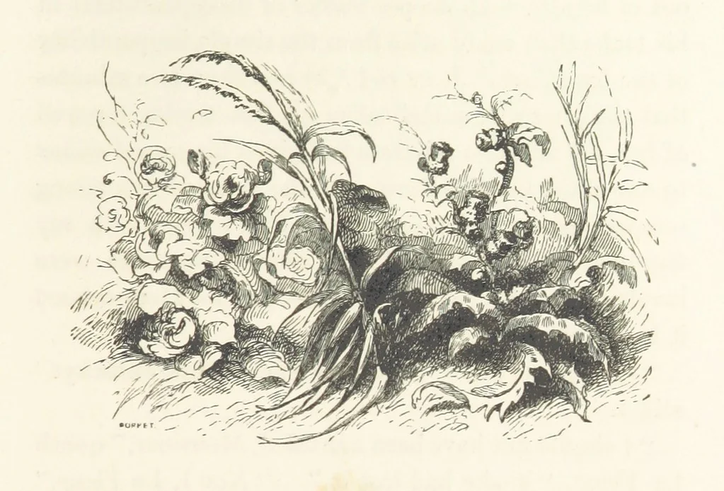 An illustration from A sentimental journey through France and Italy, 1857, leaf 247