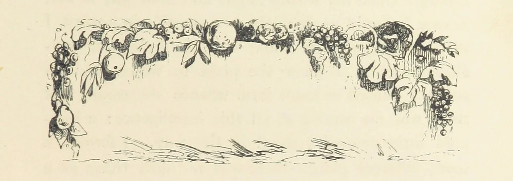 An illustration from A sentimental journey through France and Italy, 1857, leaf 73