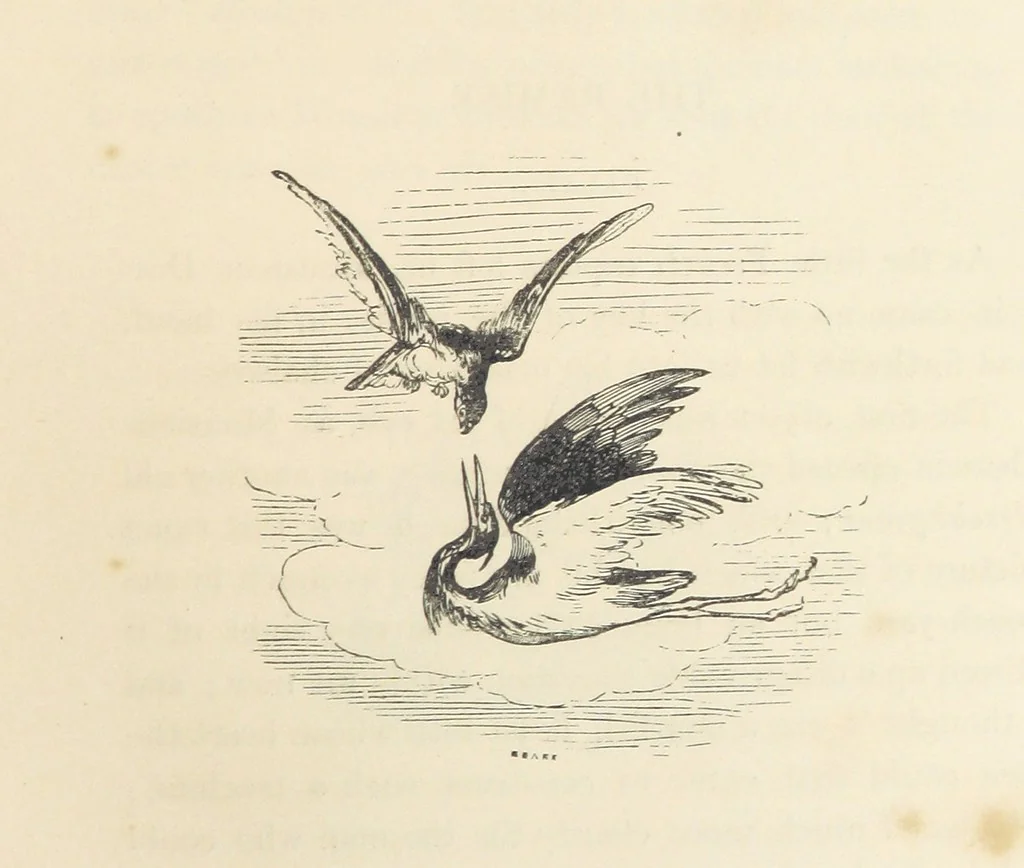 An illustration from A sentimental journey through France and Italy, 1857, leaf 79