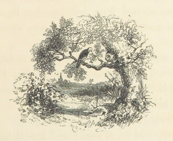 An illustration from A sentimental journey through France and Italy, 1857, leaf 81