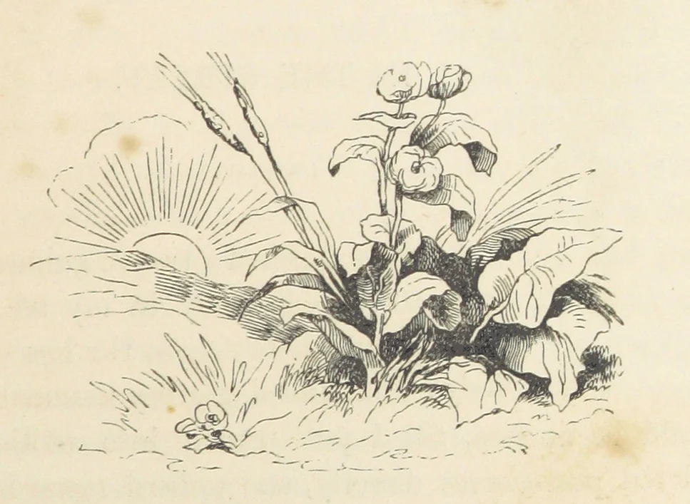 An illustration from A sentimental journey through France and Italy, 1857, leaf 85