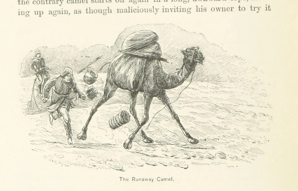 An illustration from Around the World on a Bicycle ... From Teheran to Yokohama. With ... illustrations, 1888, leaf 102