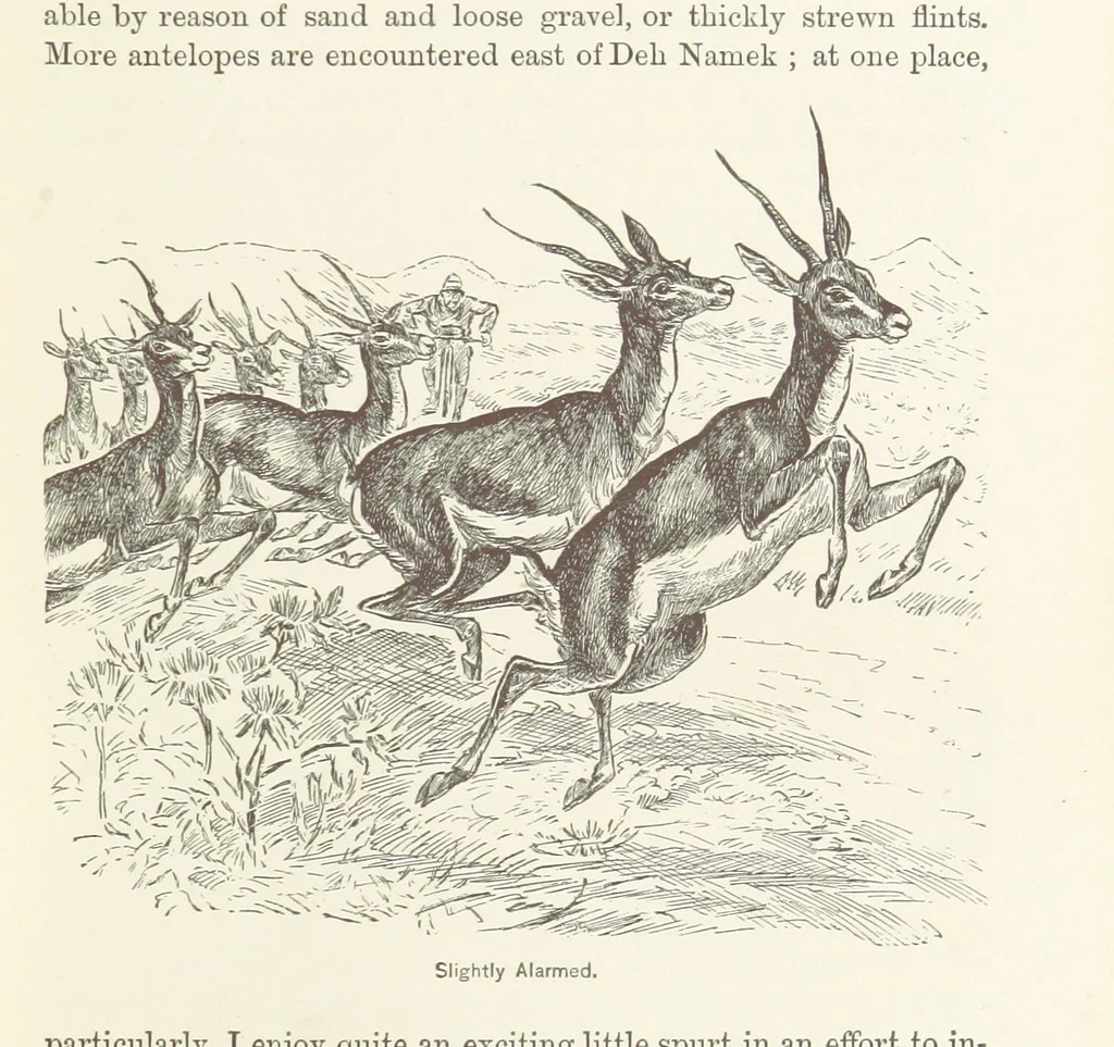 An illustration from Around the World on a Bicycle ... From Teheran to Yokohama. With ... illustrations, 1888, leaf 59