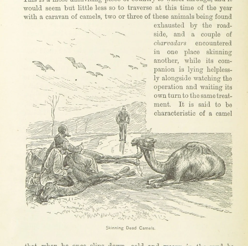 An illustration from Around the World on a Bicycle ... From Teheran to Yokohama. With ... illustrations, 1888, leaf 76