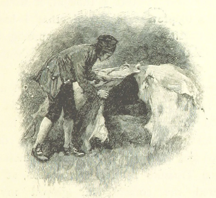 An illustration from Treasure Island ... New edition, with original illustrations by Wal Paget, 1899, leaf 261