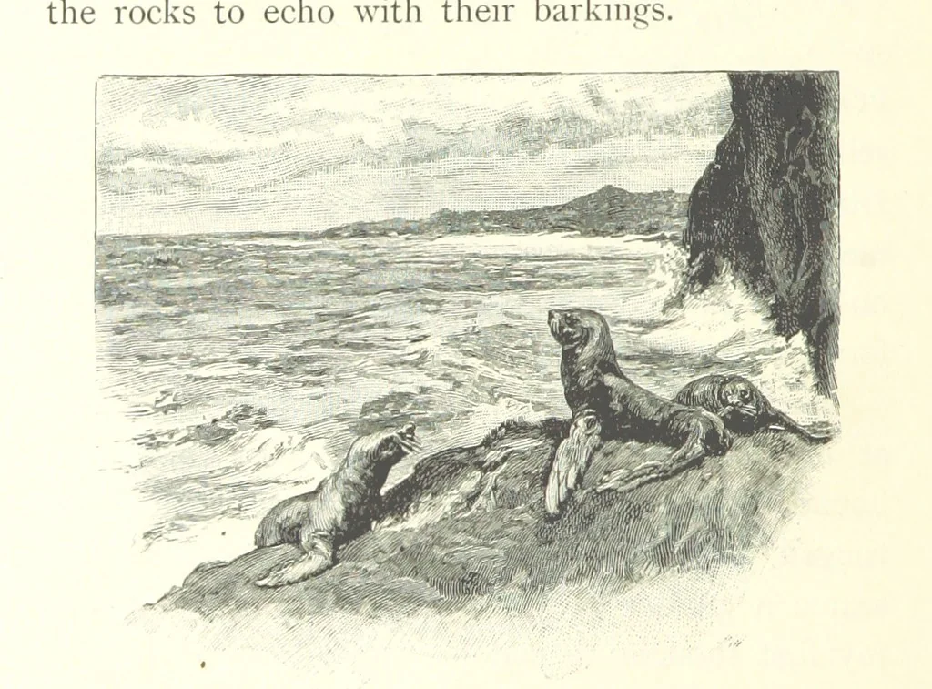 An illustration from Treasure Island ... New edition, with original illustrations by Wal Paget, 1899, leaf 274