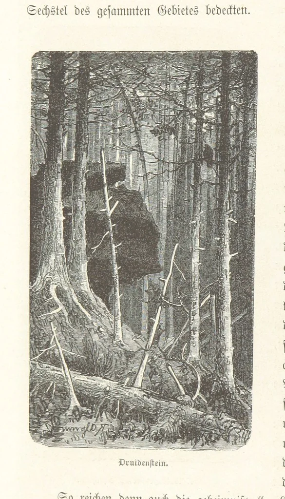 An illustration from Bilder aus Elsass Lothringen. Original-Zeichnungen von R. Assmus ... Schilderungen von K. S, 1876, leaf 112