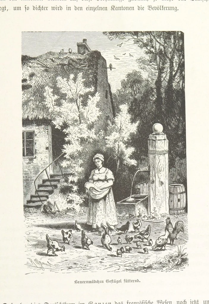An illustration from Bilder aus Elsass Lothringen. Original-Zeichnungen von R. Assmus ... Schilderungen von K. S, 1876, leaf 119
