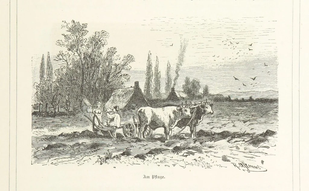 An illustration from Bilder aus Elsass Lothringen. Original-Zeichnungen von R. Assmus ... Schilderungen von K. S, 1876, leaf 129