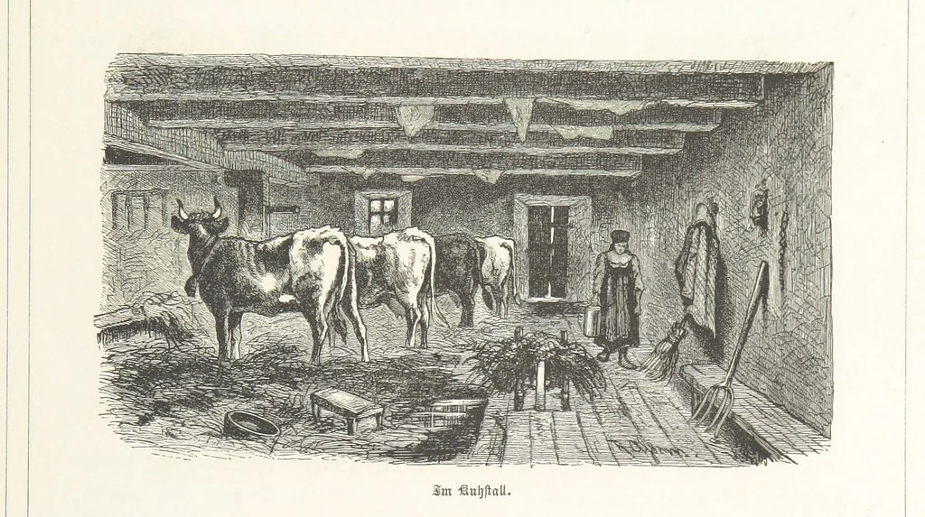 An illustration from Bilder aus Elsass Lothringen. Original-Zeichnungen von R. Assmus ... Schilderungen von K. S, 1876, leaf 131