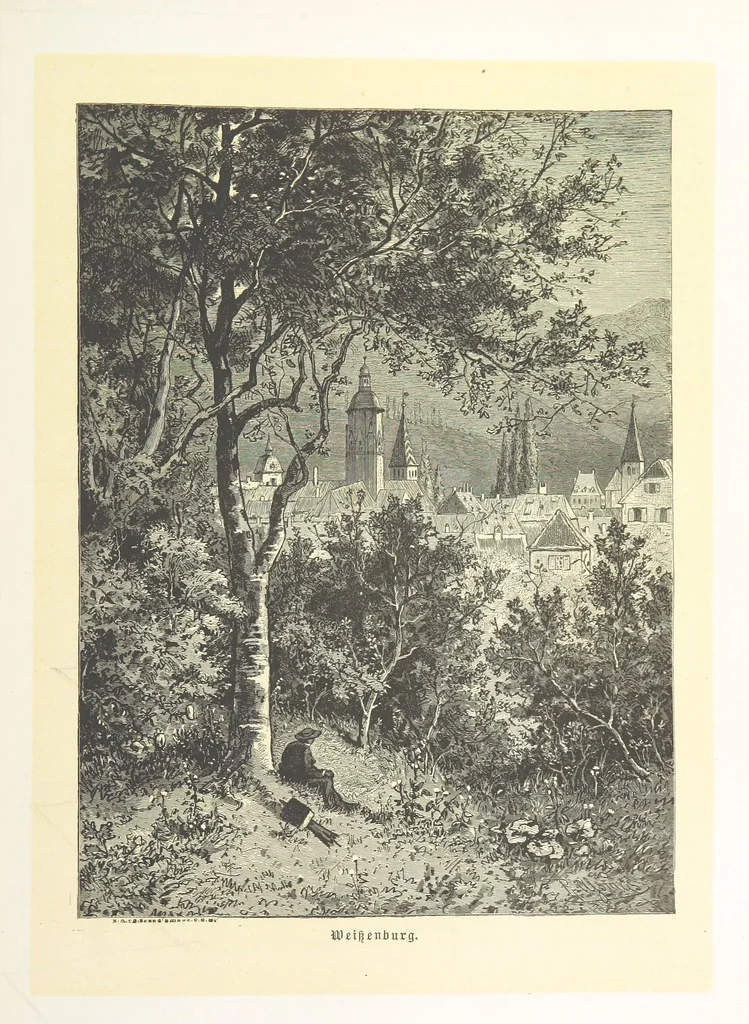 An illustration from Bilder aus Elsass Lothringen. Original-Zeichnungen von R. Assmus ... Schilderungen von K. S, 1876, leaf 135