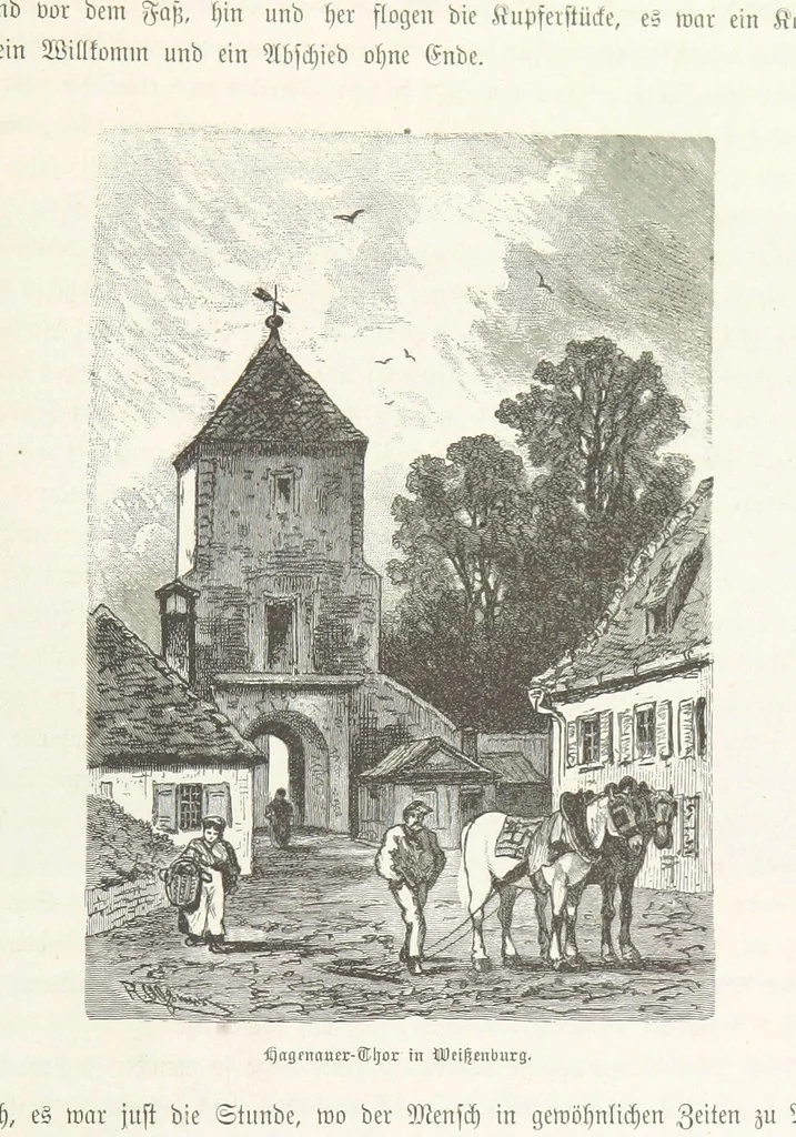 An illustration from Bilder aus Elsass Lothringen. Original-Zeichnungen von R. Assmus ... Schilderungen von K. S, 1876, leaf 137