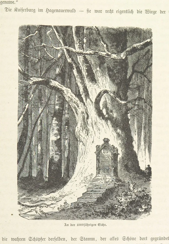 An illustration from Bilder aus Elsass Lothringen. Original-Zeichnungen von R. Assmus ... Schilderungen von K. S, 1876, leaf 151