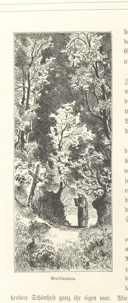 An illustration from Bilder aus Elsass Lothringen. Original-Zeichnungen von R. Assmus ... Schilderungen von K. S, 1876, leaf 158