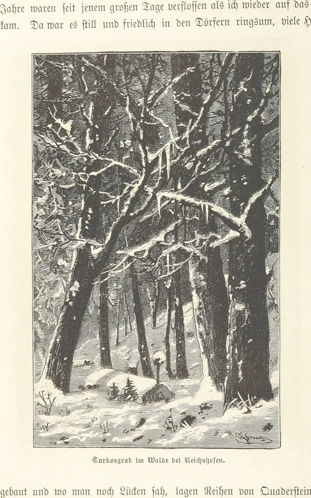 An illustration from Bilder aus Elsass Lothringen. Original-Zeichnungen von R. Assmus ... Schilderungen von K. S, 1876, leaf 164